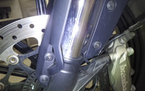 DUCATI SCRAMBLER ICON 2021