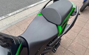 KAWASAKI NINJA 1000SX 2021 ZXT02K