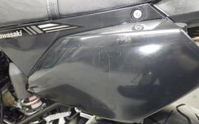 KAWASAKI KLX250D TRACKER X 2021 LX250V