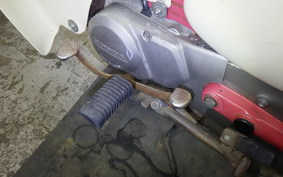 HONDA LITTLE CUB 2022 AA01