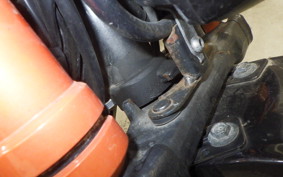 YAMAHA TRICKER DG10J
