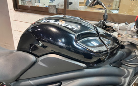 TRIUMPH SPEED TRIPLE 2013 TPN105