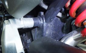 HONDA HORNET 250 MC31