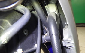 YAMAHA YZF-R25 2024 RG10J