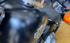 HARLEY FLS 2012 JR5