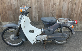 HONDA SUPER CUB50 C50