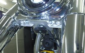 HARLEY FLSTFI1920 2025