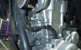 YAMAHA WR250X 2024 DG15J
