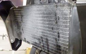 HONDA HORNET 250 2004 MC31