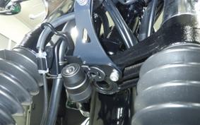 KAWASAKI W800 2020 EJ800B