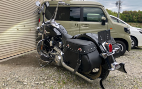 HARLEY FLSTC 2017 BWV