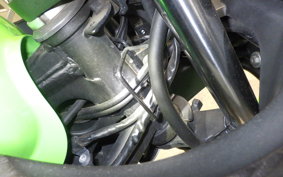 KAWASAKI NINJA 250 EX250L