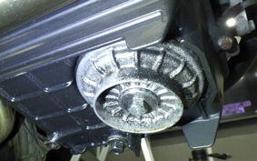 HONDA VTRF250 2021 MC33