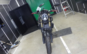 YAMAHA MT-25 2006 RG10J