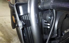HONDA REBEL 250 A 2017 MC49