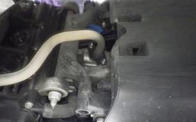 HONDA GIORNO 3 2014 AF77