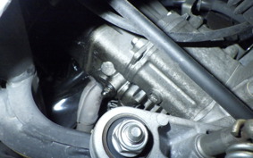 HONDA LEAD 110 2025 JF19