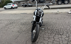 HARLEY HARLEY FXDB1580 2017 GXM