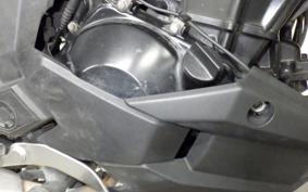 KAWASAKI VERSYS 250 X LE250D