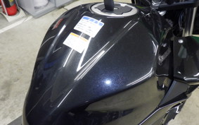 KAWASAKI Z250 Gen.2 EX250P
