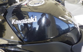 KAWASAKI NINJA 250R 2015 EX250K