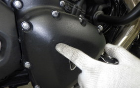 TRIUMPH SPEED 400 2024