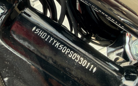 HARLEY FXBBS 2024 YYK