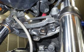 HONDA HORNET 250 2020 MC31