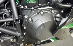 KAWASAKI NINJA H2 SX 2023 ZXT02P