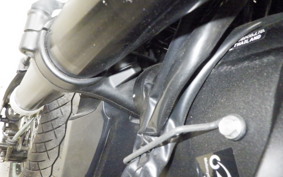 KAWASAKI KLX250D TRACKER X 2025 LX250V