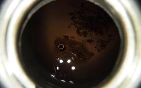 HONDA C50 SUPER CUB AA01