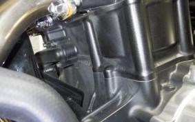 HONDA CB1300SB SUPER BOLDOR SP 2019 SC54