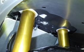 SUZUKI GSX-R1000R A 2007 DM11G