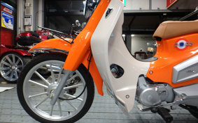 OTHER POPz110