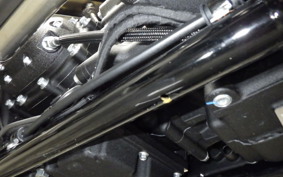 HARLEY FXLRST1920 2025