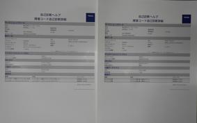 HONDA REBEL 250 S 1993 MC49