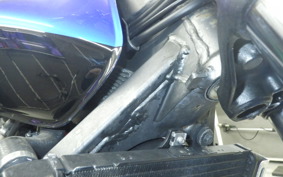 HONDA HORNET 250 MC31