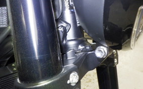 TRIUMPH TRIDENT 660 2024