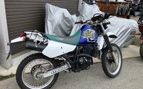 SUZUKI DJEBEL250XC SJ45A