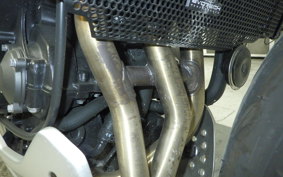 TRIUMPH TRIDENT 660 2025