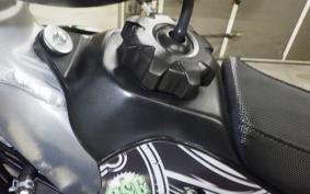 KAWASAKI KX250 F KX250Z