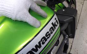 KAWASAKI ZRX1200 D 2010 ZRT20D