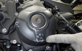 YAMAHA MT-09 2014 RN34J