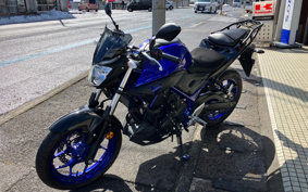 YAMAHA MT-25 RG43J