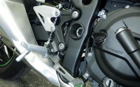 KAWASAKI NINJA7ﾊEVEﾘｯﾄ 2025