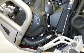 TRIUMPH TIGER 900 RALLY PRO 2025