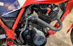 HONDA TLR200 MD09