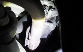 HONDA PCX125 2014 JF81