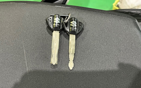 SUZUKI DL650 ( V-Strom 650 ) 2022 C733M