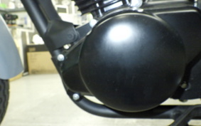 KAWASAKI W175 SE